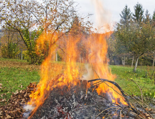 Pálení větví na zahradě